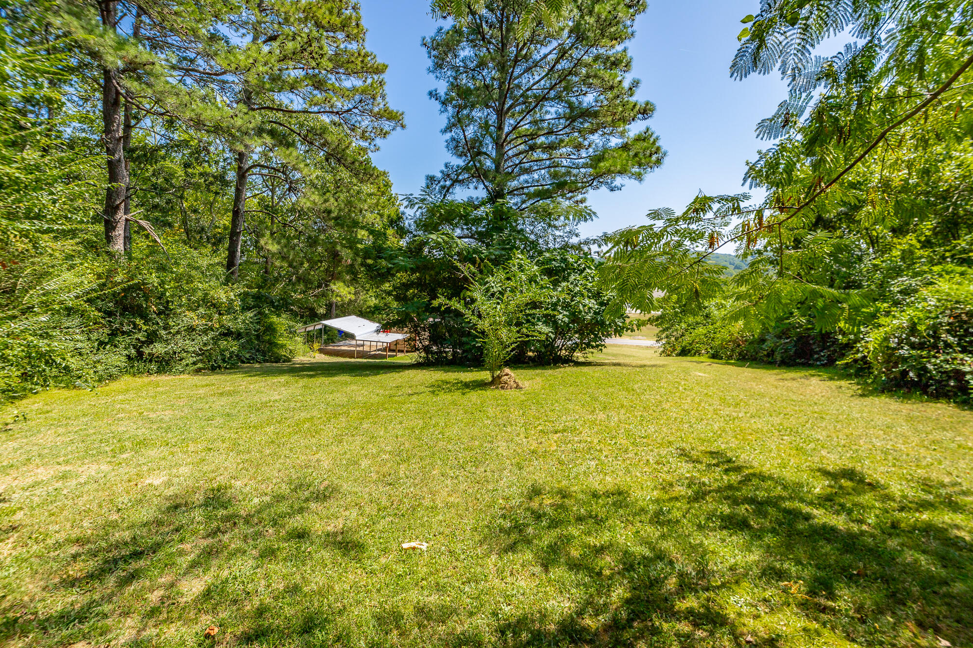 3546 Blue Springs Road Cleveland, TN 37311 - Photo 5 of 21 Want Land? There's plenty here!