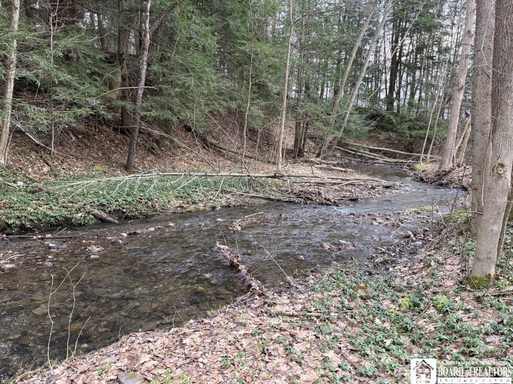 1760 Emory Hill Road Carroll, NY 14738 - Photo 5 of 9