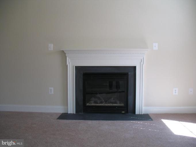 12631 Hilltop Road Lusby, MD 20657 - Photo 4 of 20 Fireplace