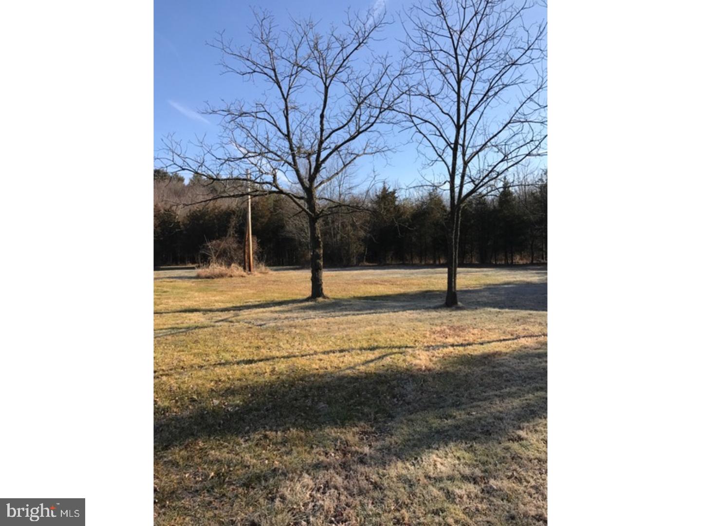 3405 East Buck Road Pennsburg, PA 18073 - Photo 14 of 16 Side Yard