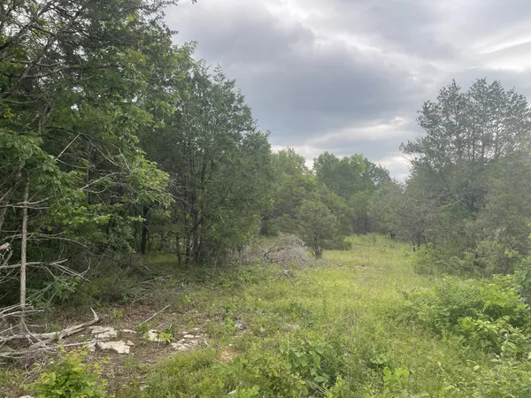 3822 Bivens Hill Road, Readyville, TN 37149