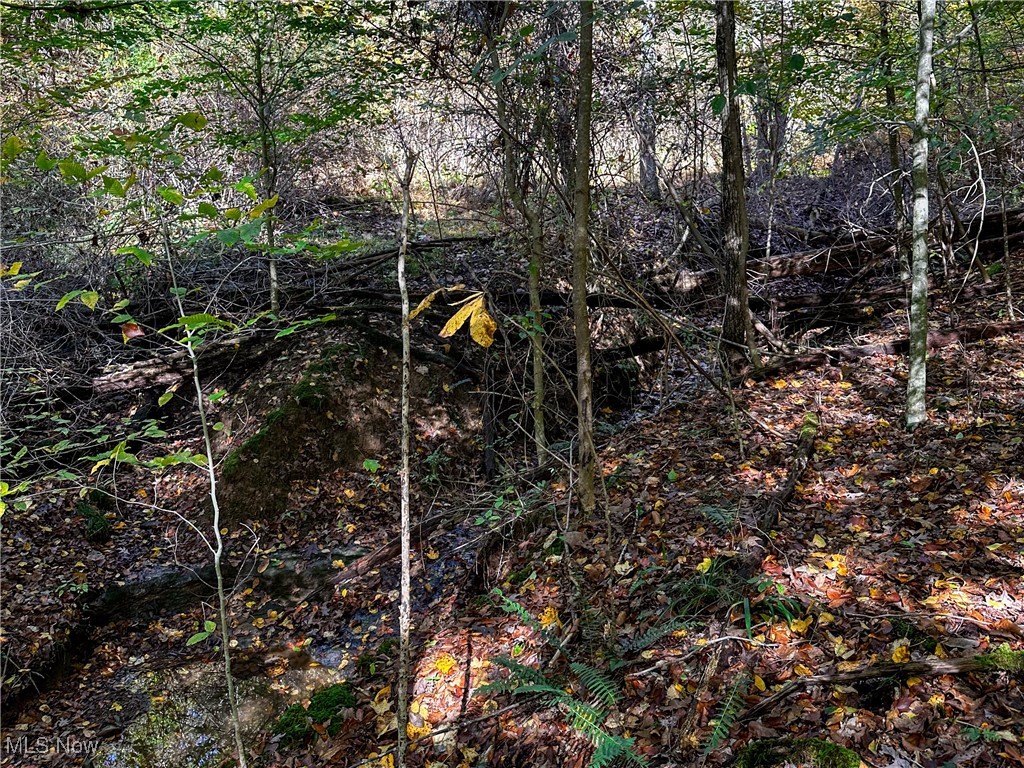 0 Clark Road Cutler, OH 45724 - Photo 18 of 26 View of nature