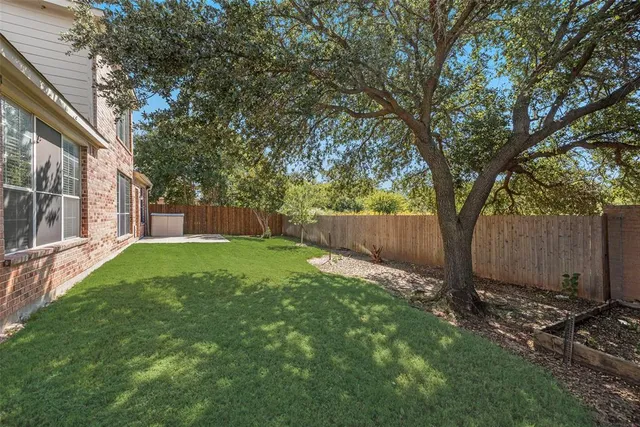 a view of a backyard with a tree