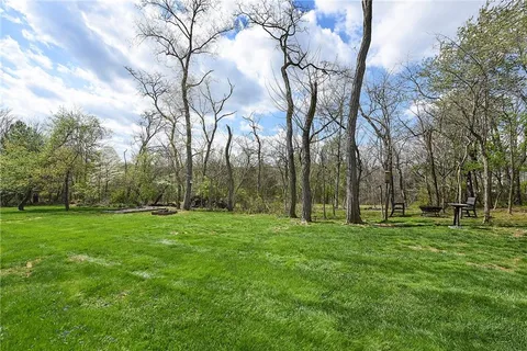 a view of a park with large trees