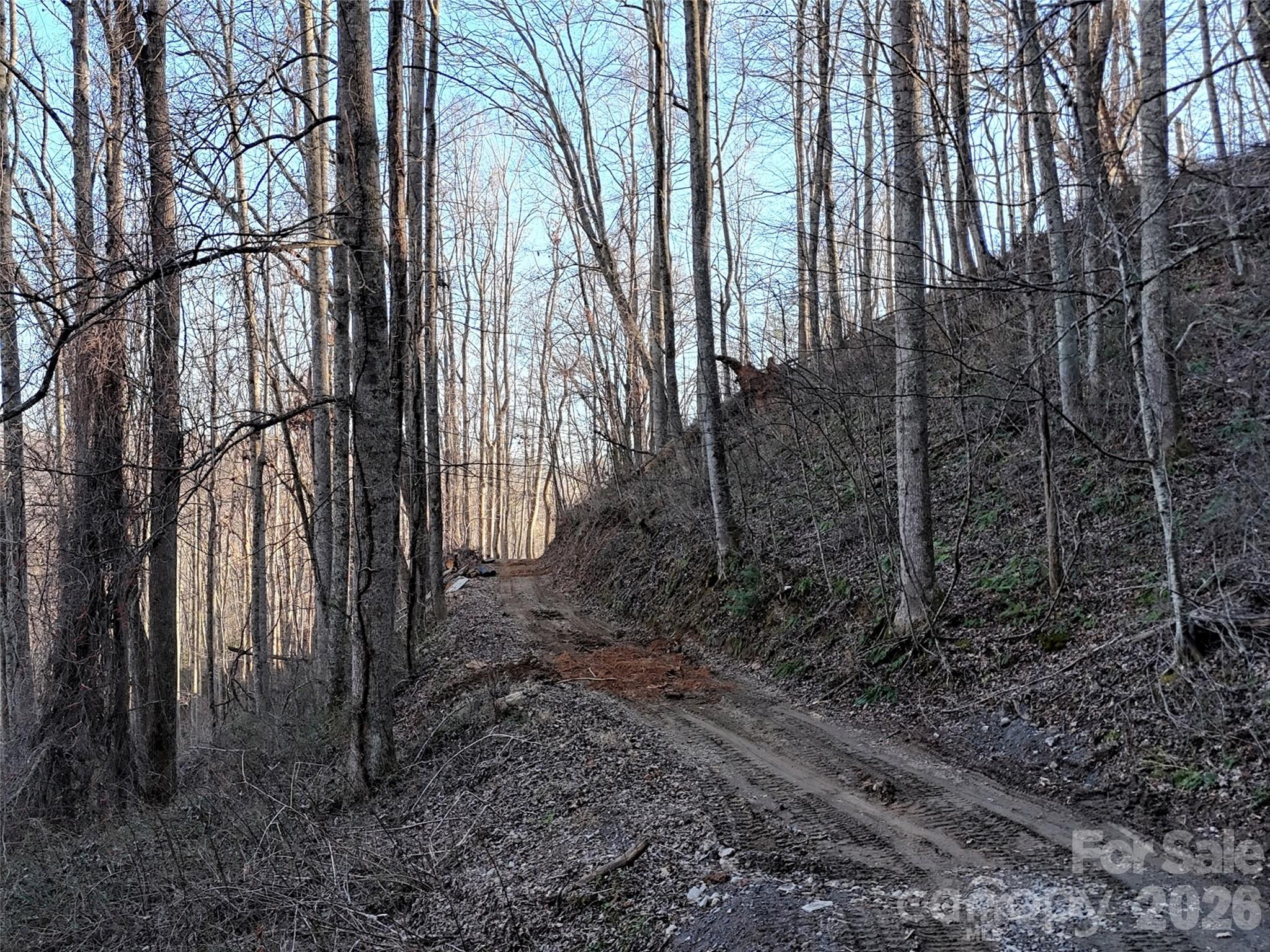 672 Porters Ridge Canton, NC 28716 - Photo 9 of 18