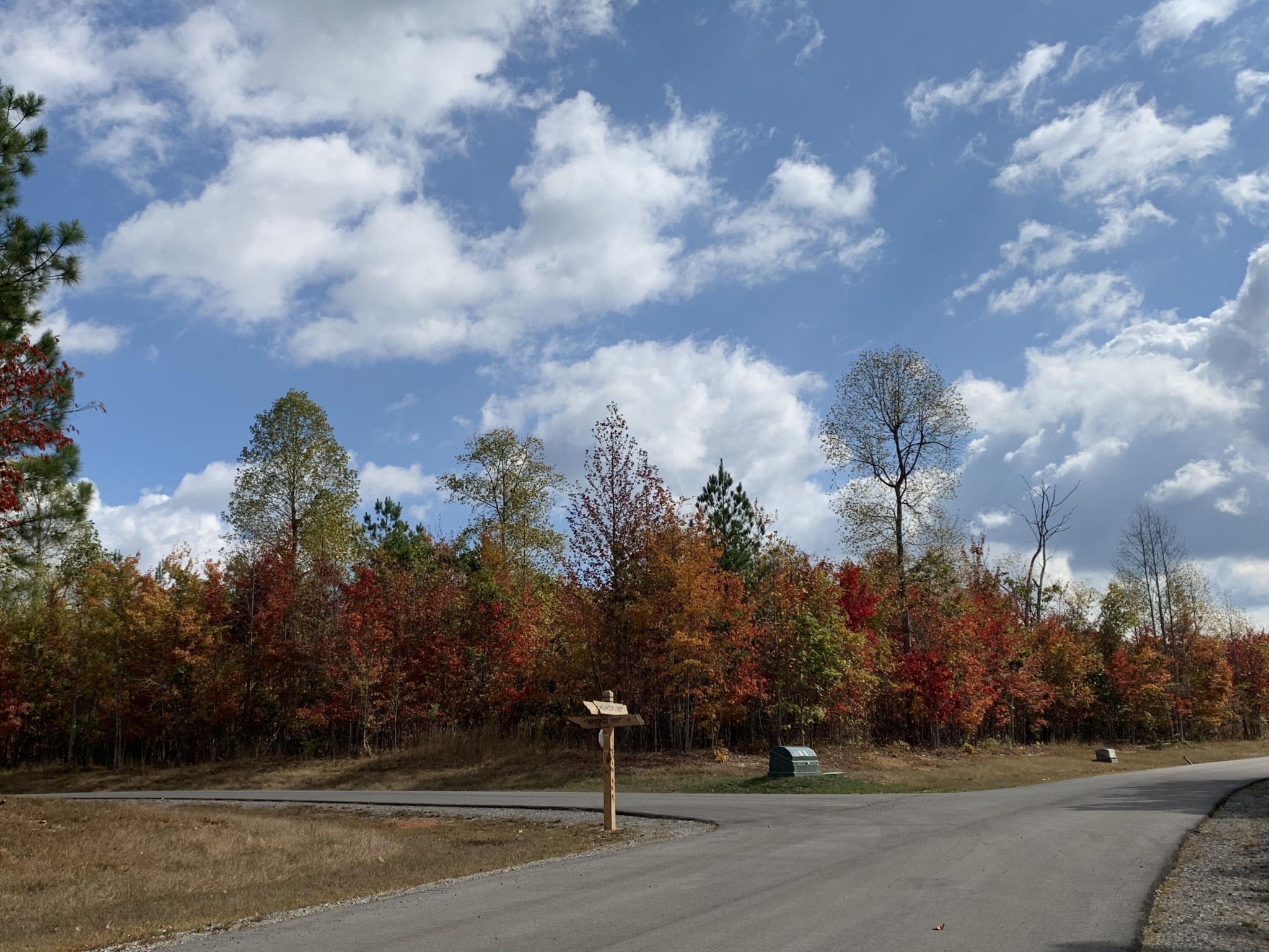174 Volunteer Street Jasper, TN 37347 - Photo 8 of 43