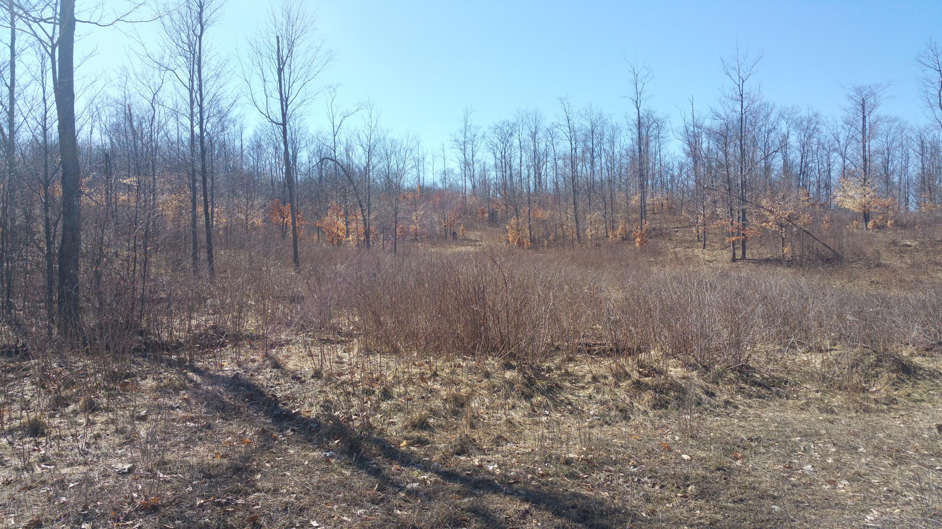 Off Of Tower Road Curran, MI 48728 - Photo 4 of 9 Gallery Image 4