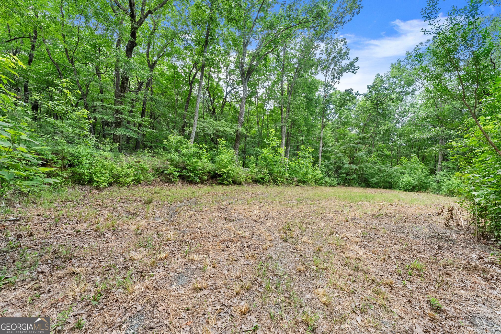 0 Wauka Ridge Road Clermont, GA 30527 - Photo 9 of 32