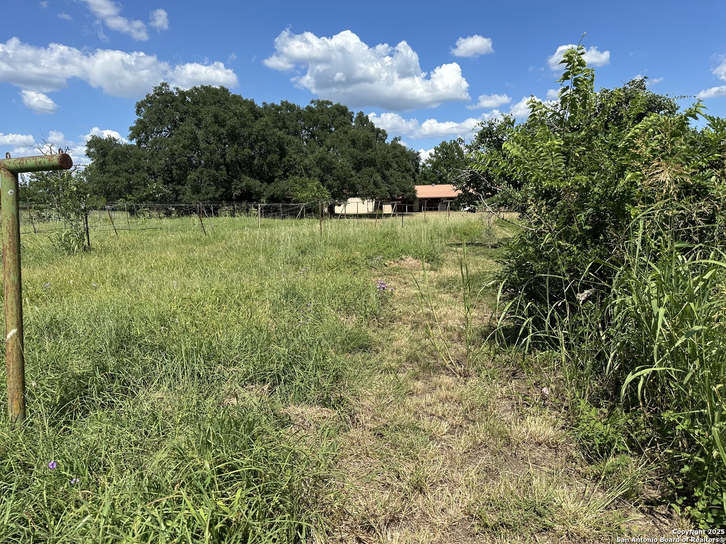 779 Main Street Utopia, TX 78884 - Photo 18 of 22 a view of a green field with lots of bushes