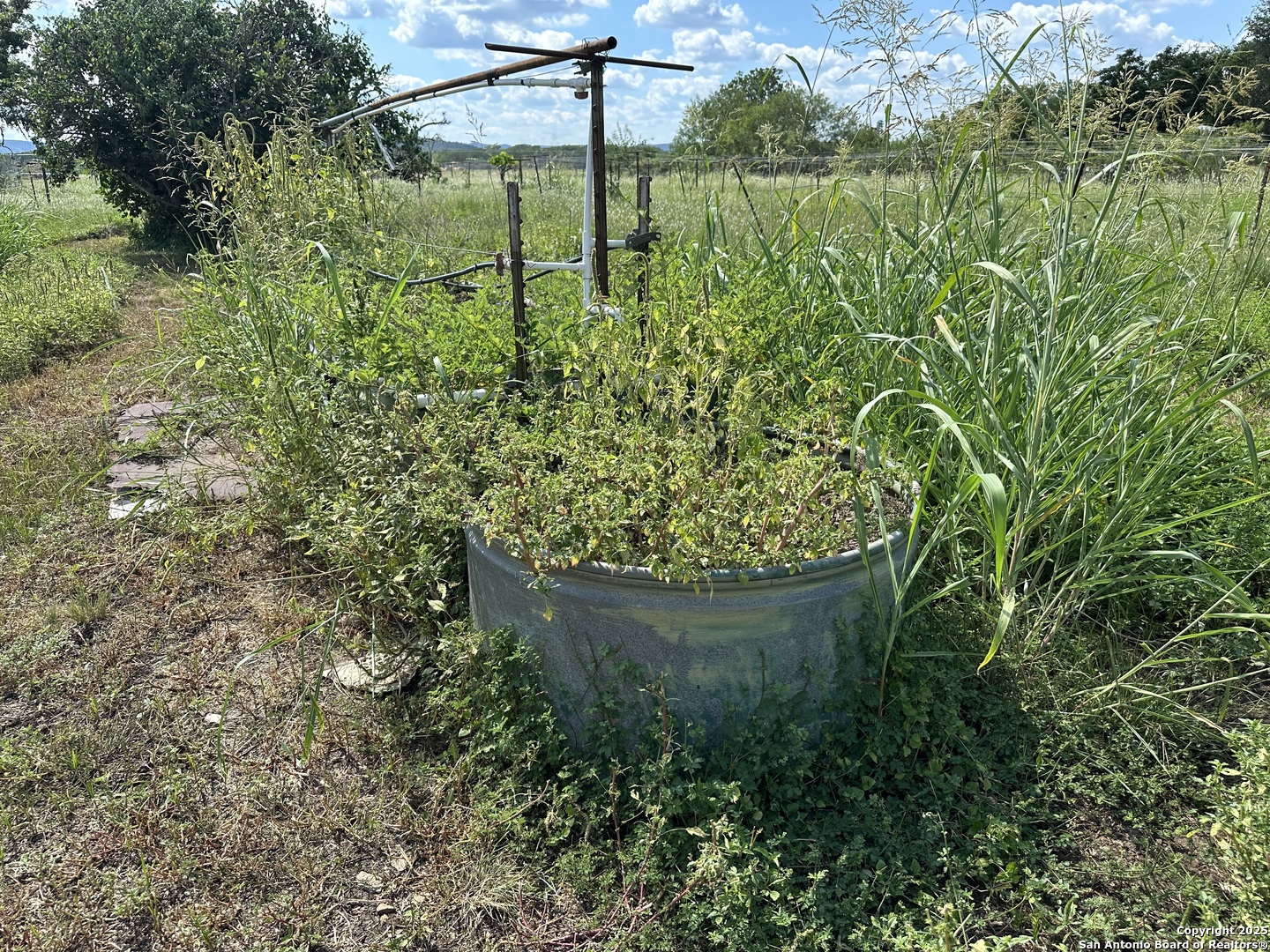 779 Main Street Utopia, TX 78884 - Photo 22 of 22 a view of a garden with a bench