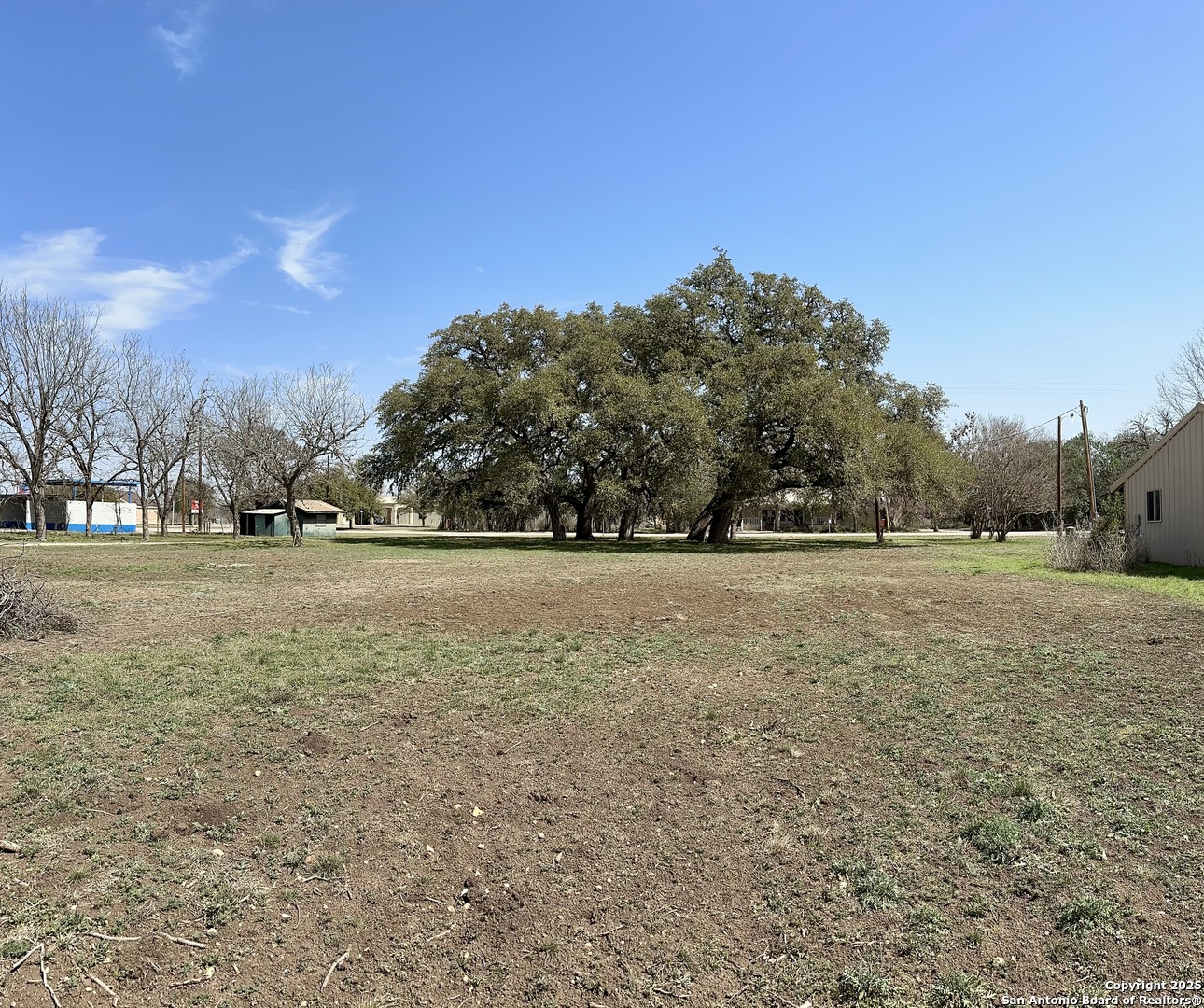 779 Main Street Utopia, TX 78884 - Photo 7 of 22 a view of dirt field with trees
