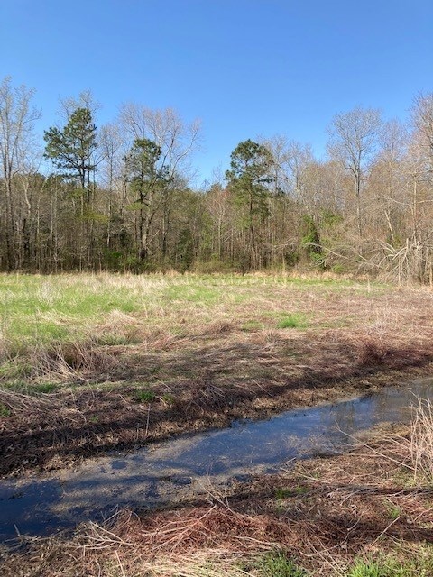 0 Greta Road, Unit 12 Atlantic, VA 23303 - Photo 4 of 7
