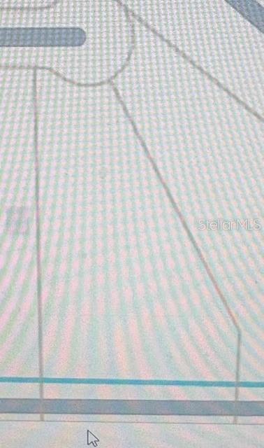 Nutmeg Street Orlando, FL 32833 - Photo 3 of 4