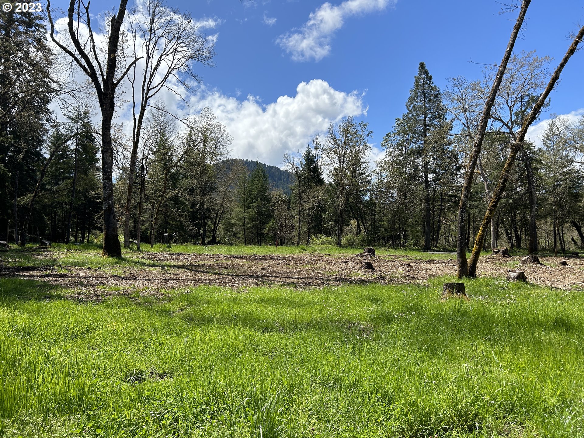 736 Byron Creek Road Winston, OR 97496 - Photo 8 of 19 a view of a park with large trees