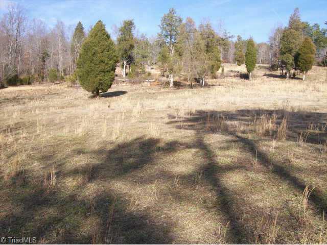 2 Hutchens Road East Bend, NC 27018 - Photo 3 of 9 Other.