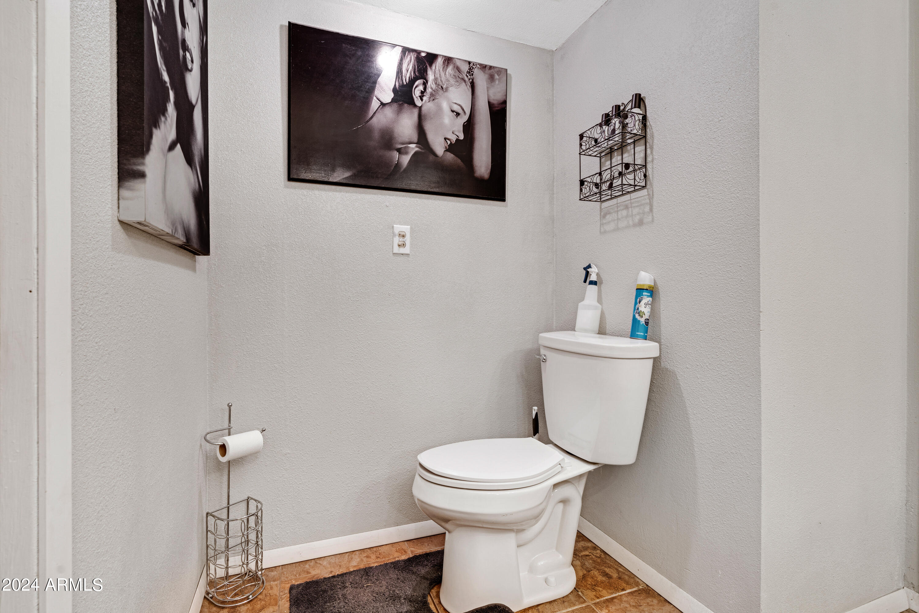 8026 South 13th Place Phoenix, AZ 85042 - Photo 33 of 48 DSC07898