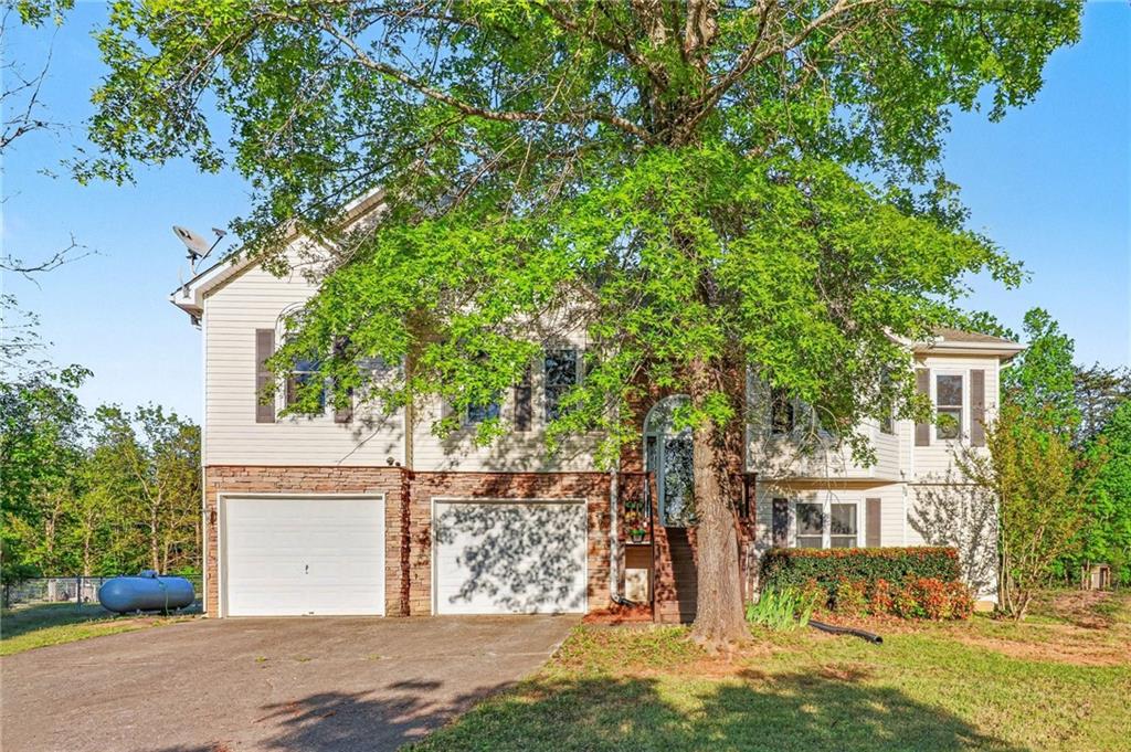 front view of house with a tree