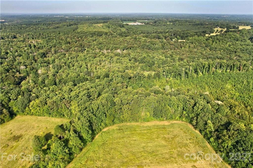 0 Cool Springs Road Cleveland, NC 27013 - Photo 13 of 23 a view of a yard