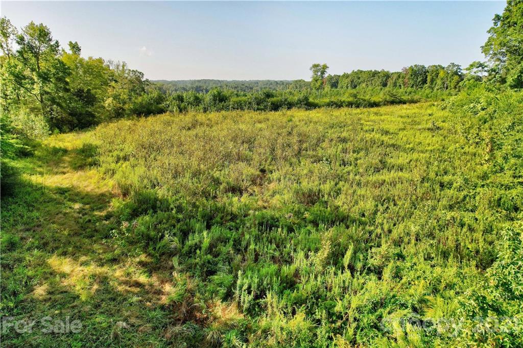 0 Cool Springs Road Cleveland, NC 27013 - Photo 22 of 23 a view of a green field with lots of bushes