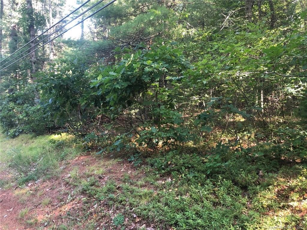44 Blood Road Putnam, CT 06260 - Photo 1 of 1