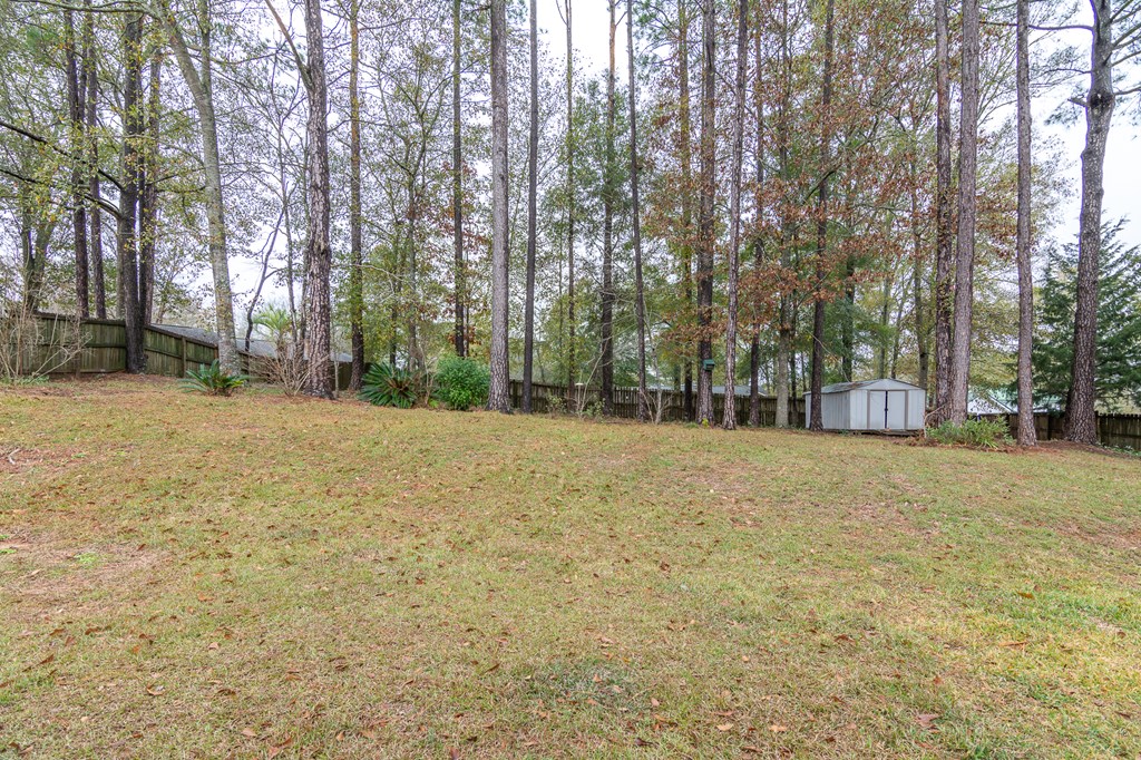 101 Bermuda Enterprise, AL 36330 - Photo 39 of 39
