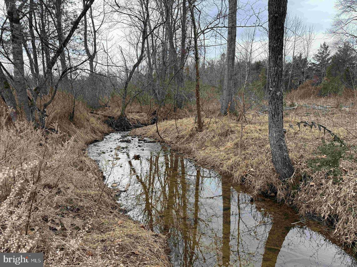 West River Road Scottsville, VA 24590 - Photo 11 of 19