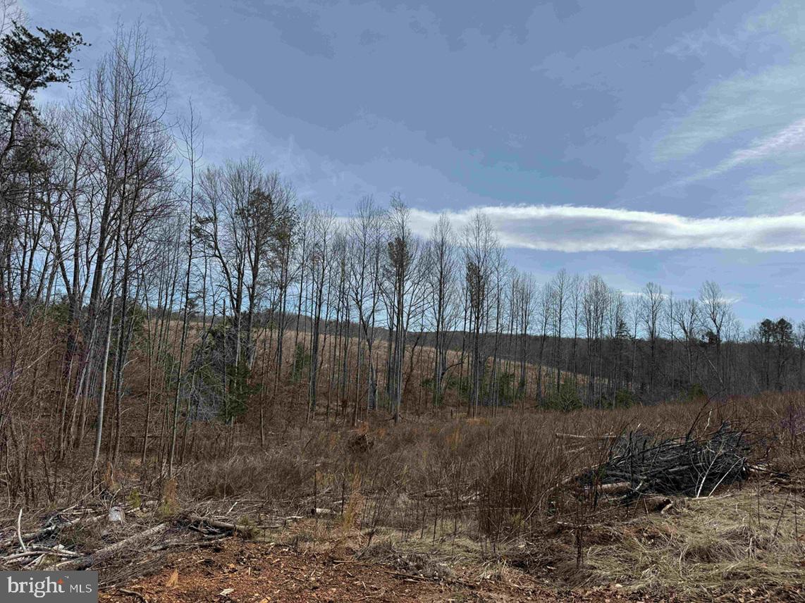 West River Road Scottsville, VA 24590 - Photo 13 of 19