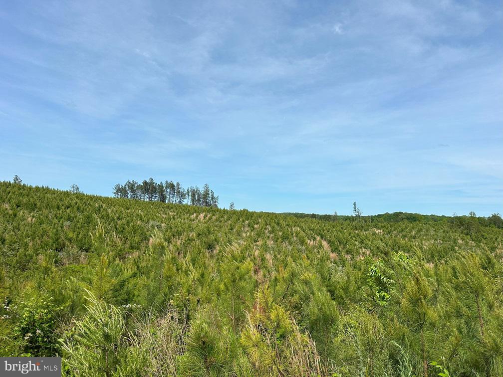 West River Road Scottsville, VA 24590 - Photo 14 of 19