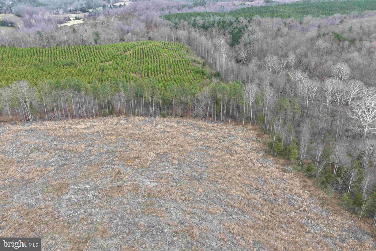 West River Road Scottsville, VA 24590 - Photo 15 of 19