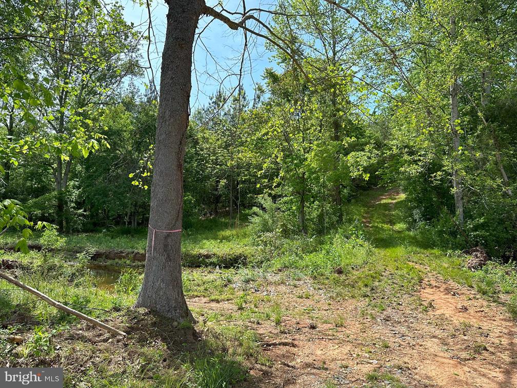 West River Road Scottsville, VA 24590 - Photo 16 of 19