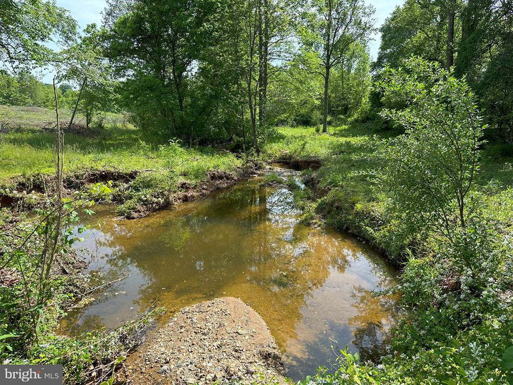 West River Road Scottsville, VA 24590 - Photo 17 of 19