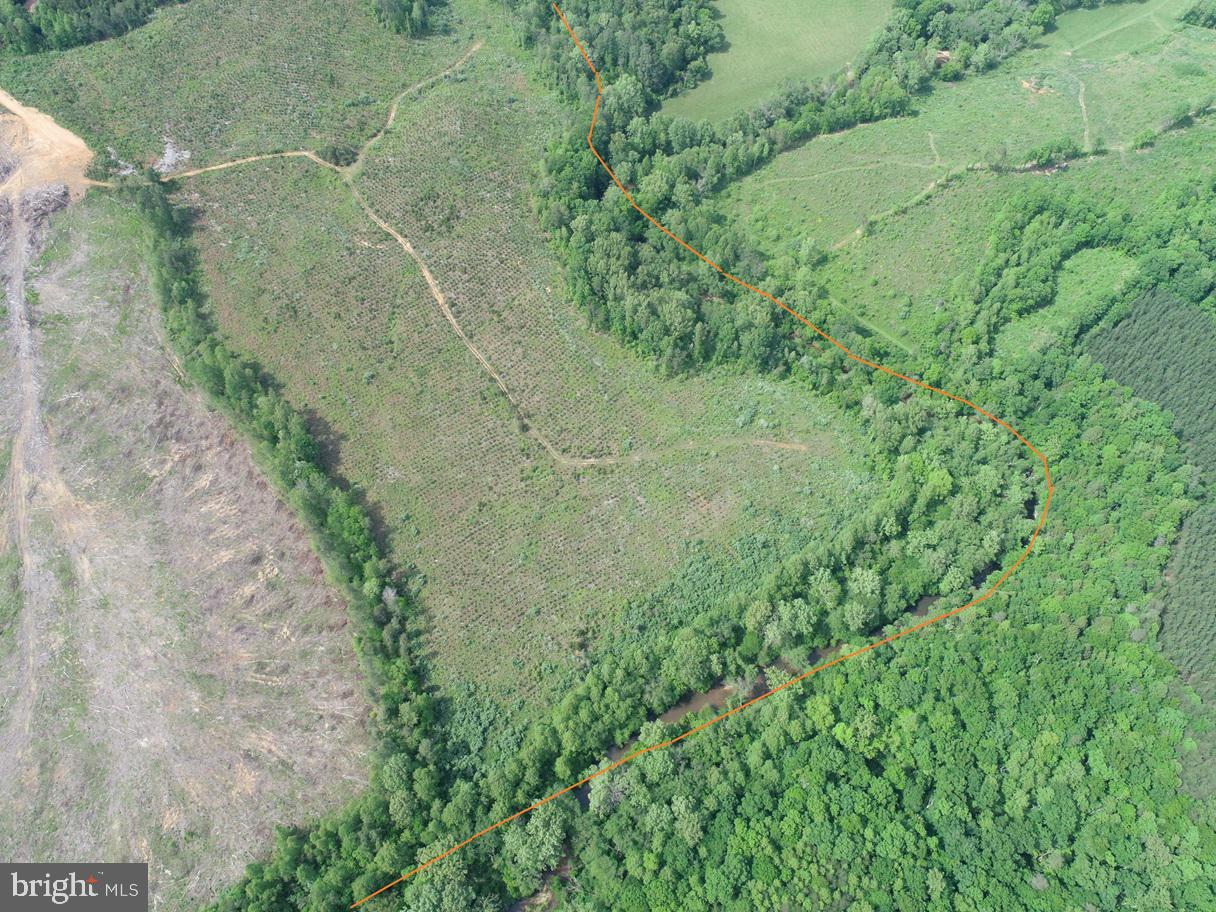 West River Road Scottsville, VA 24590 - Photo 6 of 19