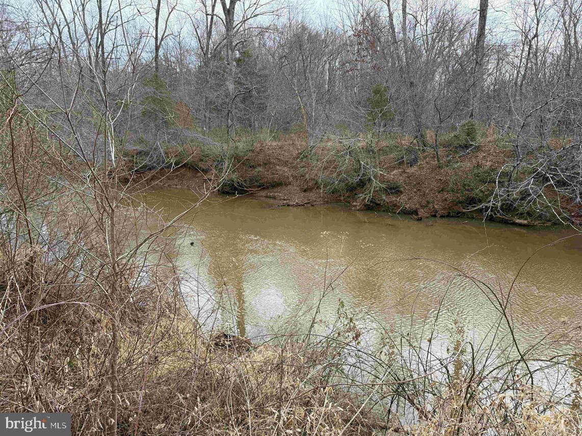 West River Road Scottsville, VA 24590 - Photo 7 of 19