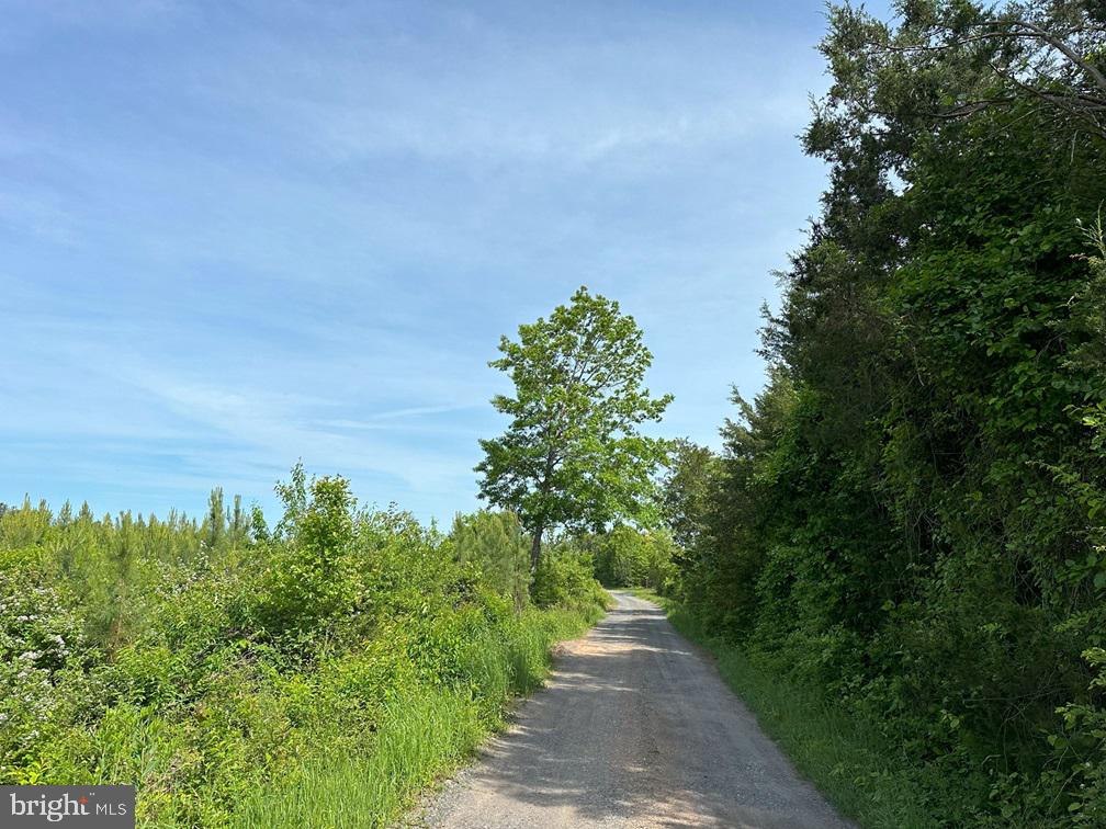 West River Road Scottsville, VA 24590 - Photo 8 of 19