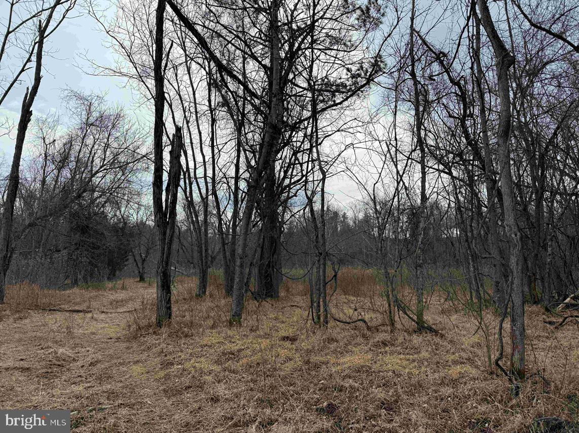 West River Road Scottsville, VA 24590 - Photo 9 of 19