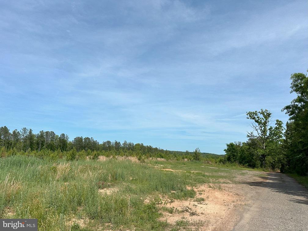 West River Road Scottsville, VA 24590 - Photo 10 of 19