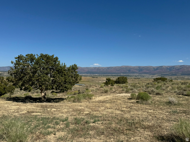 16875 East Race Track Road Moroni, UT 84646 - Photo 25 of 30