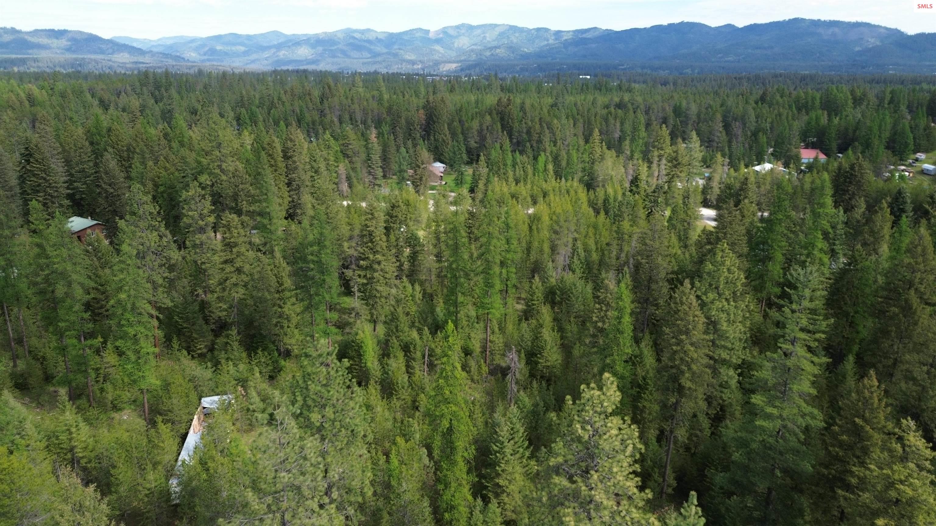 Womack Rd Womack Road Oldtown, ID 83822 - Photo 4 of 5