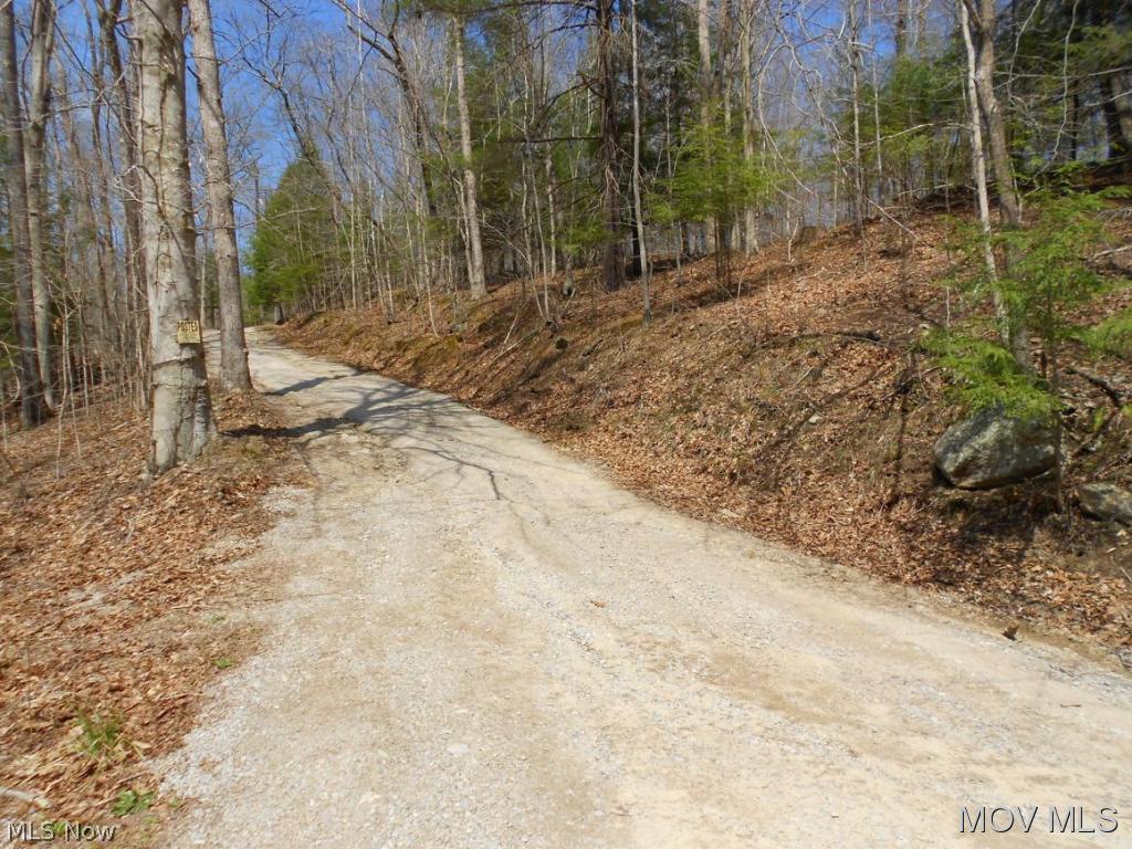 0 Flint Run Road Petroleum, WV 26161 - Photo 4 of 6 Gravel road leading to