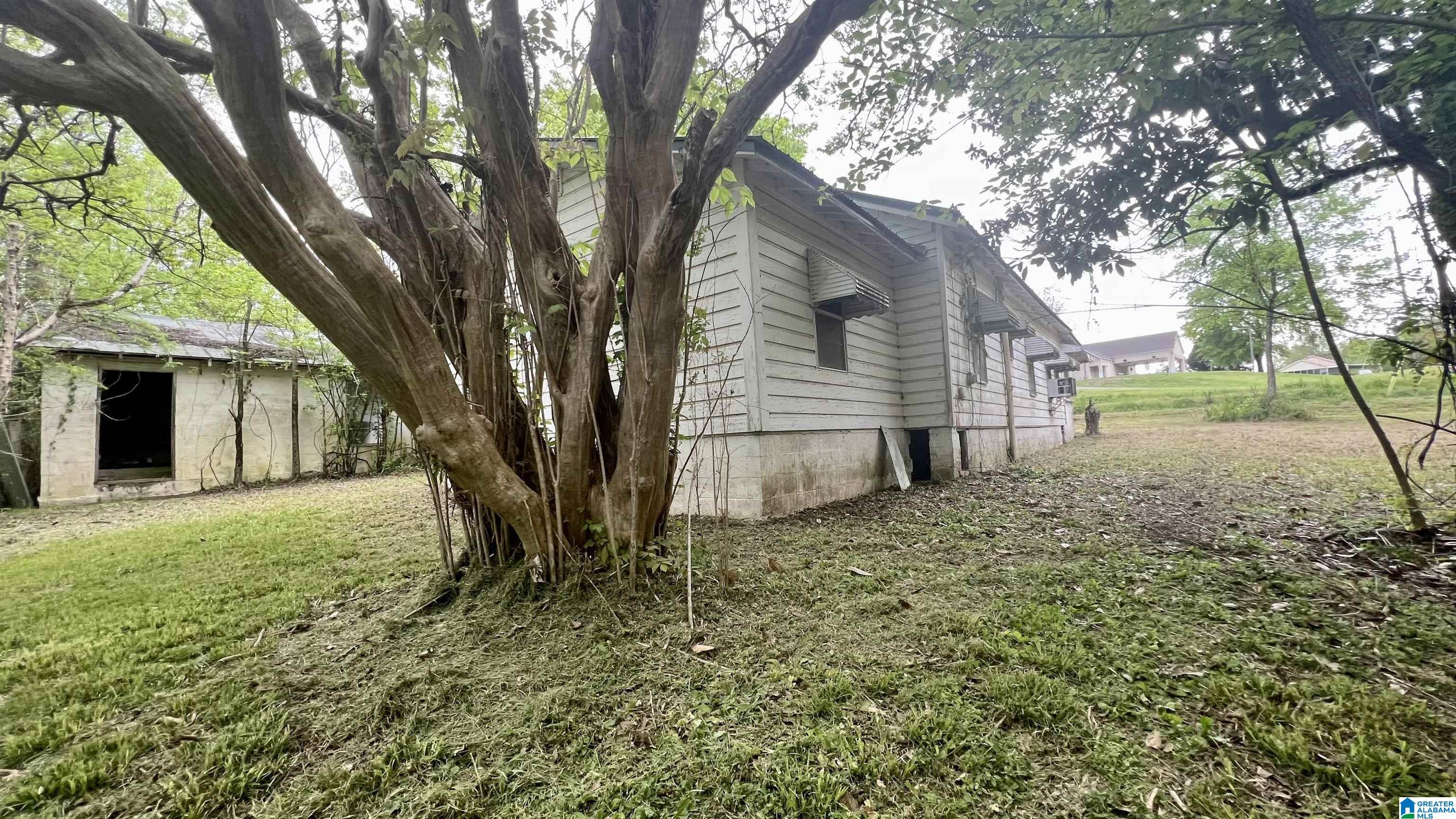 203 Railroad Avenue Ragland, AL 35131 - Photo 16 of 62