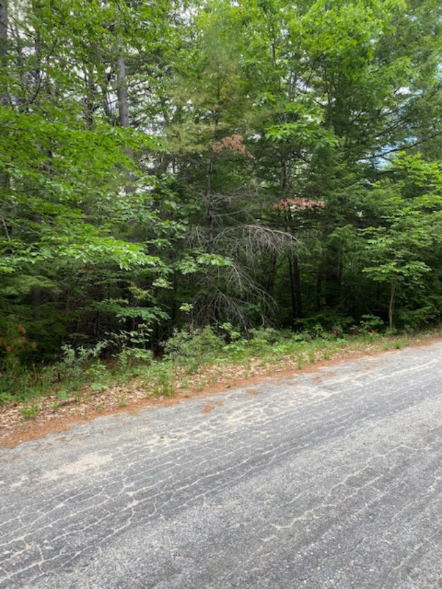 51 Alice Road Casco, ME 04015 - Photo 29 of 31 0A31DF5F-CF9B-4627-8FD8-3972086F4AFA