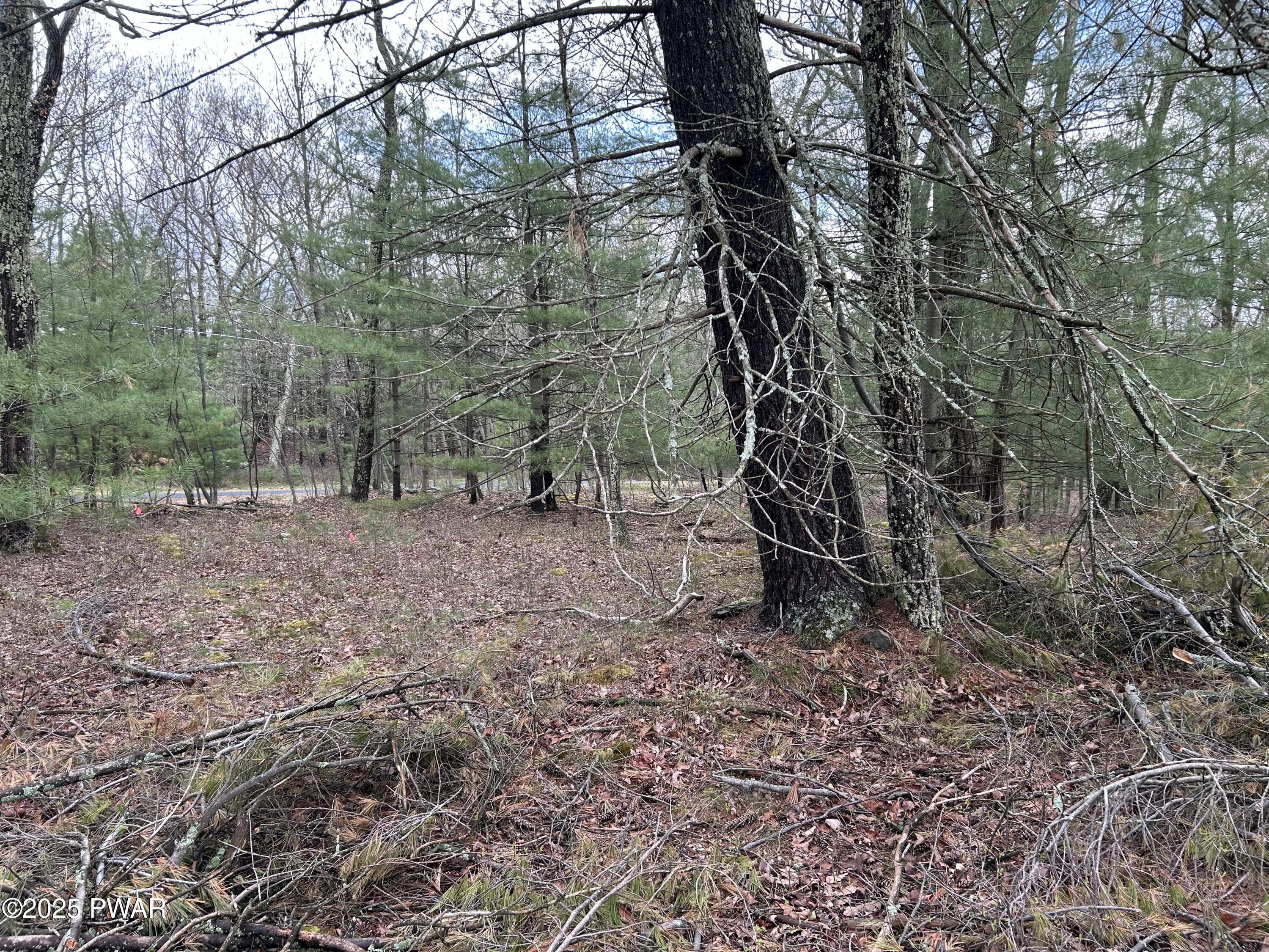 Lot 129 Pitch Pine Road Dingmans Ferry, PA 18328 - Photo 3 of 13