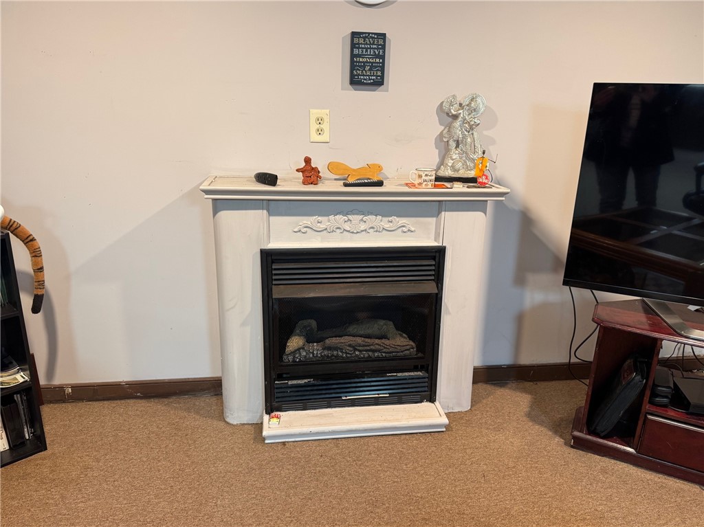 7 McHenry Valley Road Almond, NY 14804 - Photo 40 of 49 gas fireplace