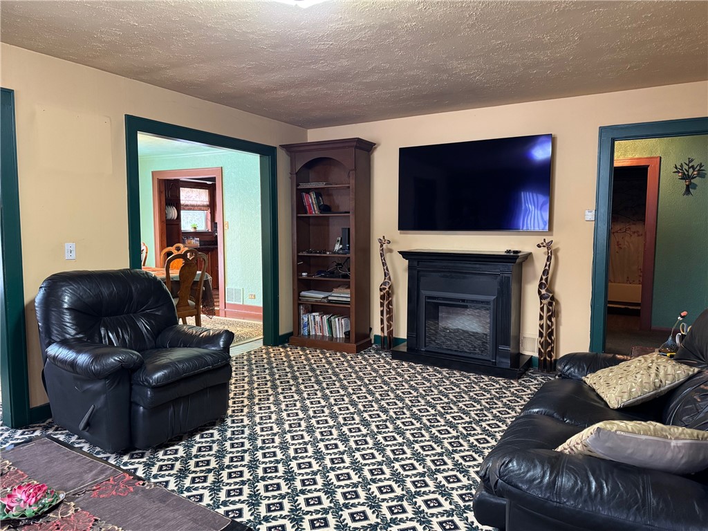 7 McHenry Valley Road Almond, NY 14804 - Photo 9 of 46 Living room with electric fireplace