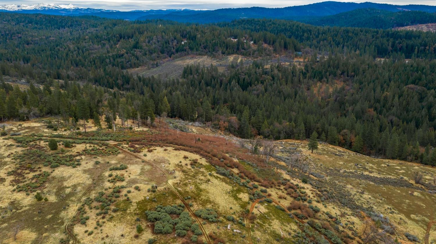 0 Pine Tree Lane Pollock Pines, CA 95726 - Photo 3 of 10 a view of a yard with an outdoor seating and trees