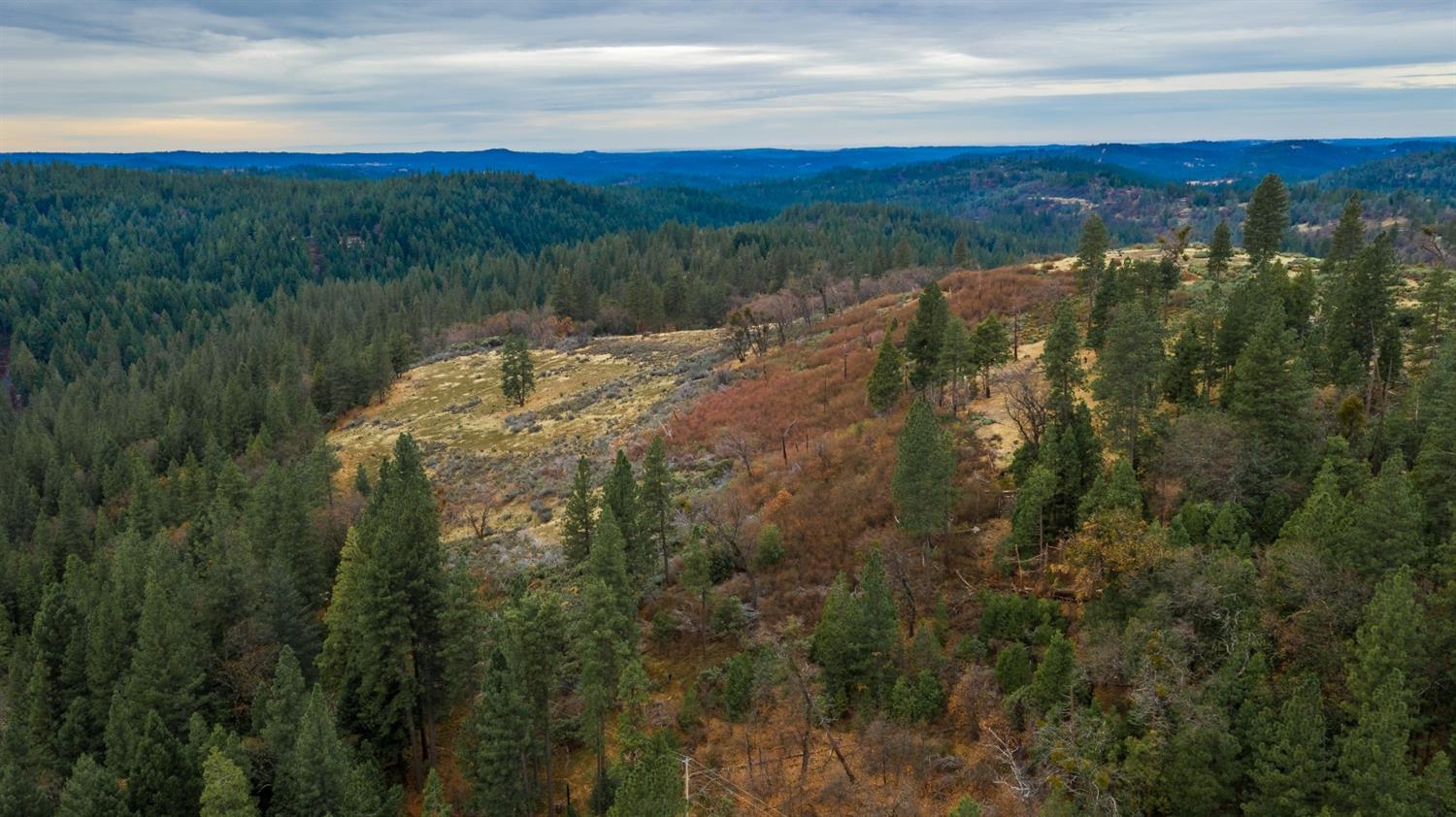0 Pine Tree Lane Pollock Pines, CA 95726 - Photo 7 of 10 a view of a forest with a lake