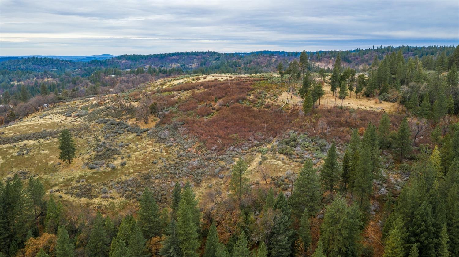 0 Pine Tree Lane Pollock Pines, CA 95726 - Photo 8 of 10 a view of lake with mountain