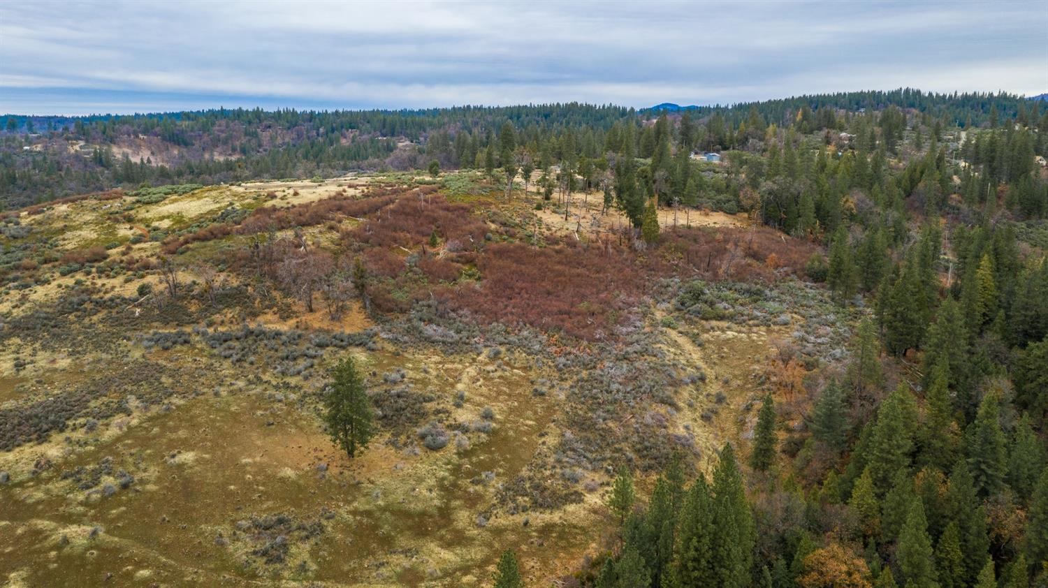 0 Pine Tree Lane Pollock Pines, CA 95726 - Photo 9 of 10 a view of a lake with houses in the back
