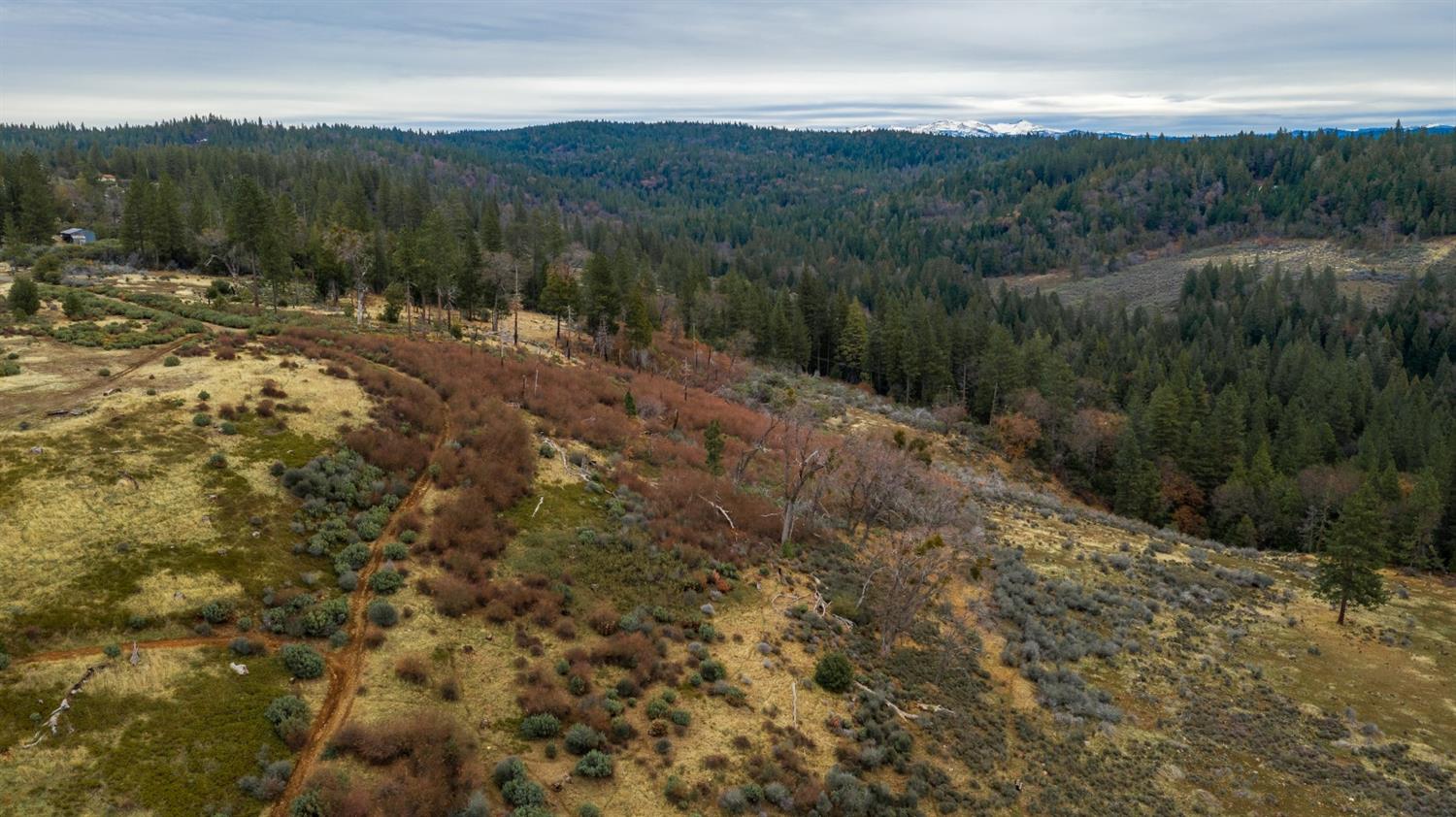 0 Pine Tree Lane Pollock Pines, CA 95726 - Photo 10 of 10 a view of a valley