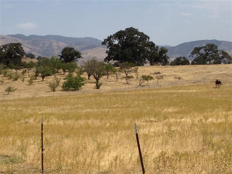 19942 Banducci Road Tehachapi, CA 93561 - Photo 8 of 11 Gallery Image 8